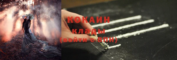индика Россошь